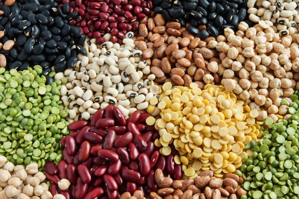 Beans