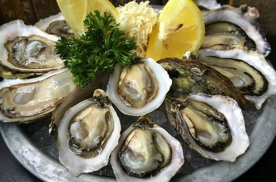 Oysters