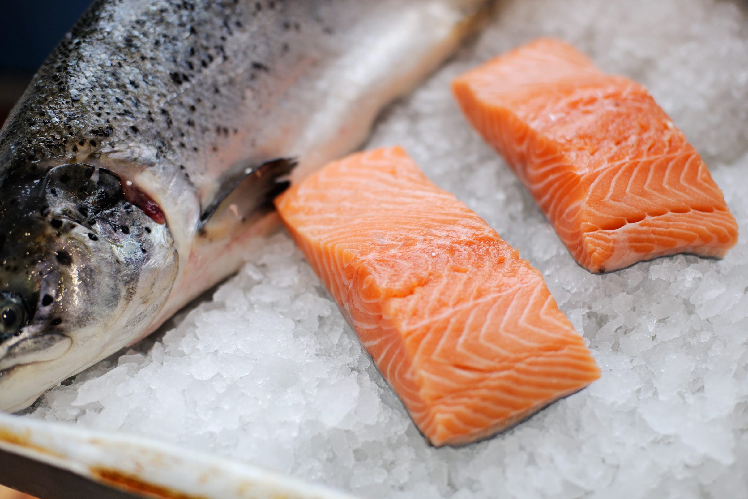 Oily Fish