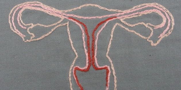 WHAT CAUSES MENOPAUSE?
