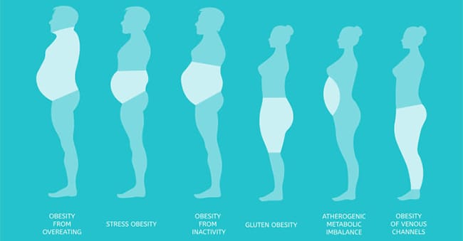 How is Fat Formed in the Body