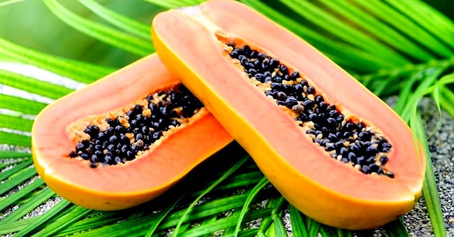 Papaya