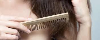 What Causes Hair Loss?