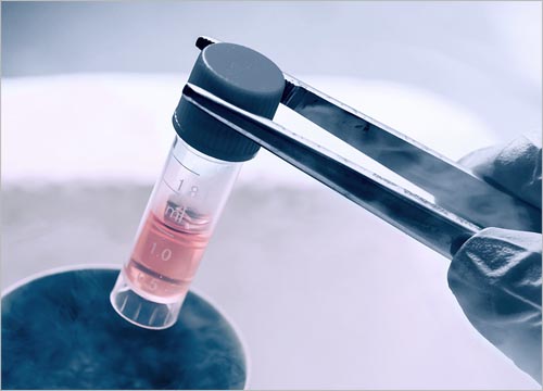Benefits of Celebre Placenta & Stem Cell