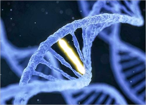 Benefits of Celebre Placenta & Stem Cell