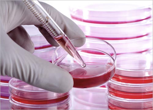 Benefits of Celebre Placenta & Stem Cell