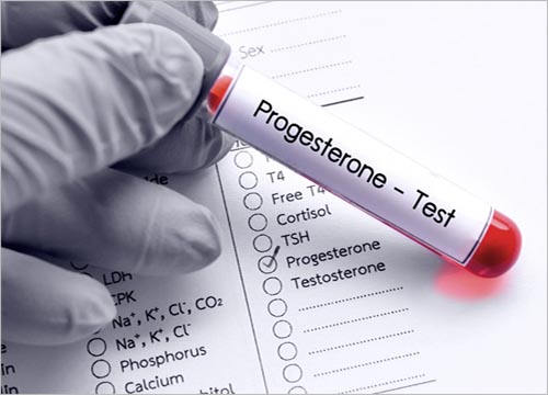 HOW DOES THE BIOIDENTICAL HORMONES REPLACEMENT THERAPY WORK