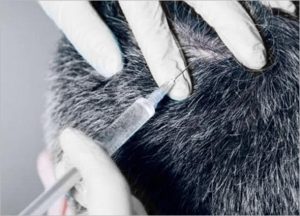 HAIR FILLER GEL – HAIR TREATMENT