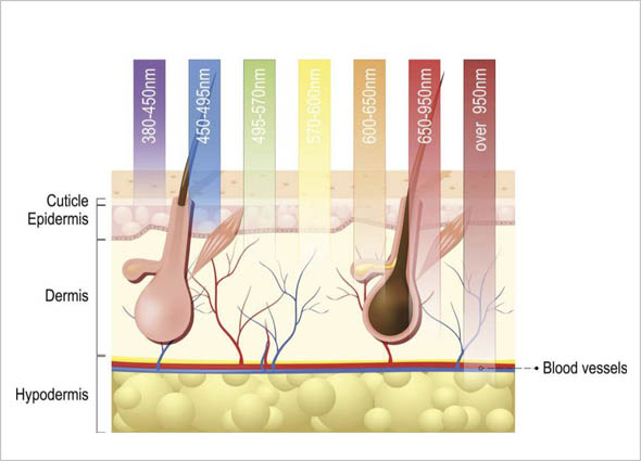 LED Photomodulation Therapy