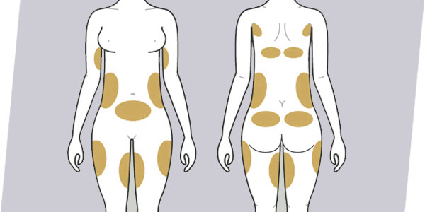 Le Shape
