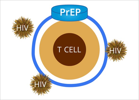 PrEP: Anti-HIV Medication
