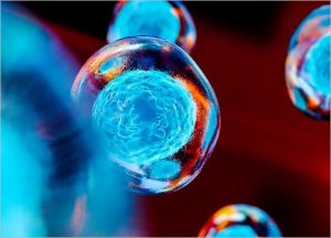 Stem Cell Hair Treatment
