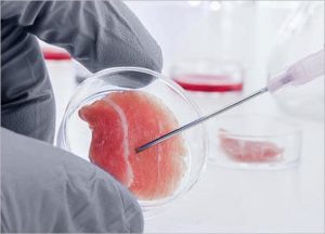 Stem Cell Hair Treatment