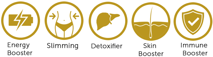 Kintaro Stem Cell Therapy