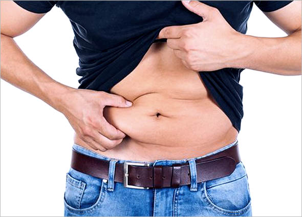 Functional Muscle System