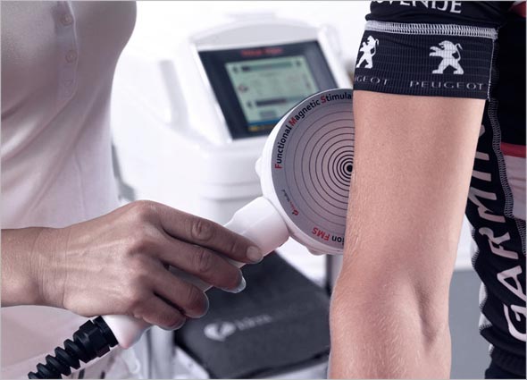 Functional Muscle System