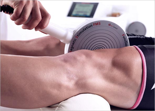 Functional Muscle System