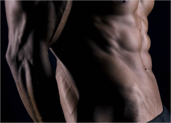 Functional Muscle System