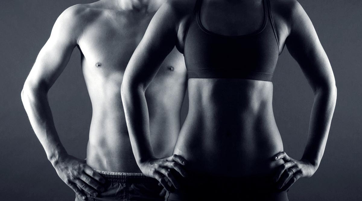 Functional Muscle System