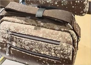 WHY DO MOLD GROW ON LEATHER GOODS