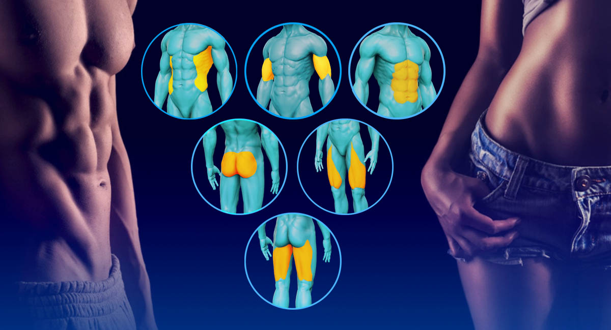 Wonder Muscle Sculpt 