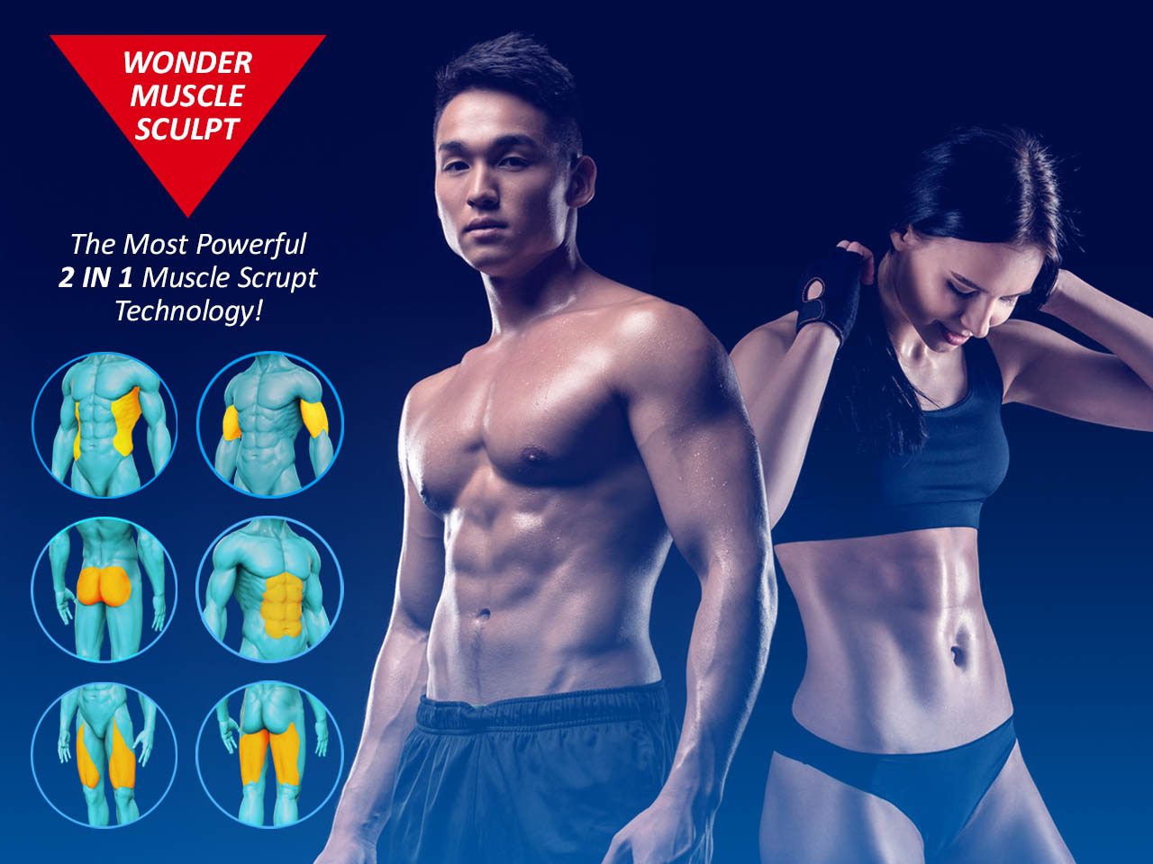 Wonder Muscle Sculpt