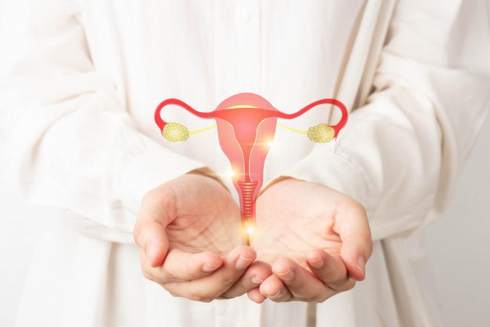 Vaginal Atrophy