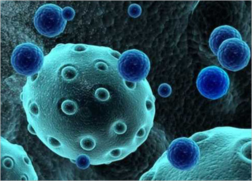 Exosome Hair Therapy