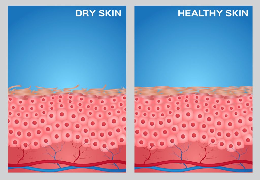 WHAT DOES A HEALTHY SKIN LOOK LIKE