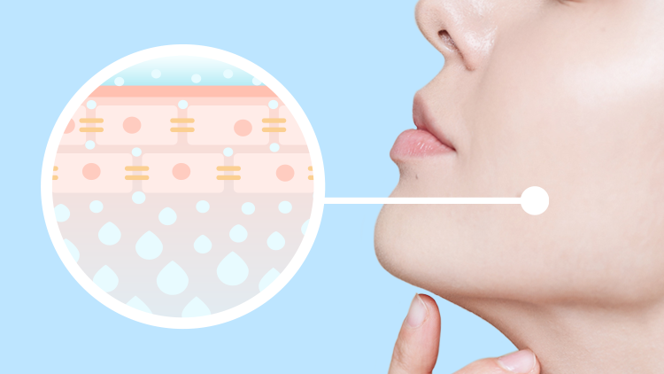 THE IMPORTANCE OF SKIN HEALTH